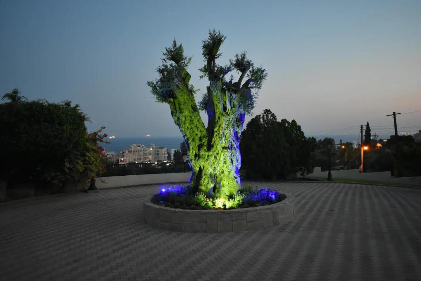 Olive Tree Διαμέρισμα *